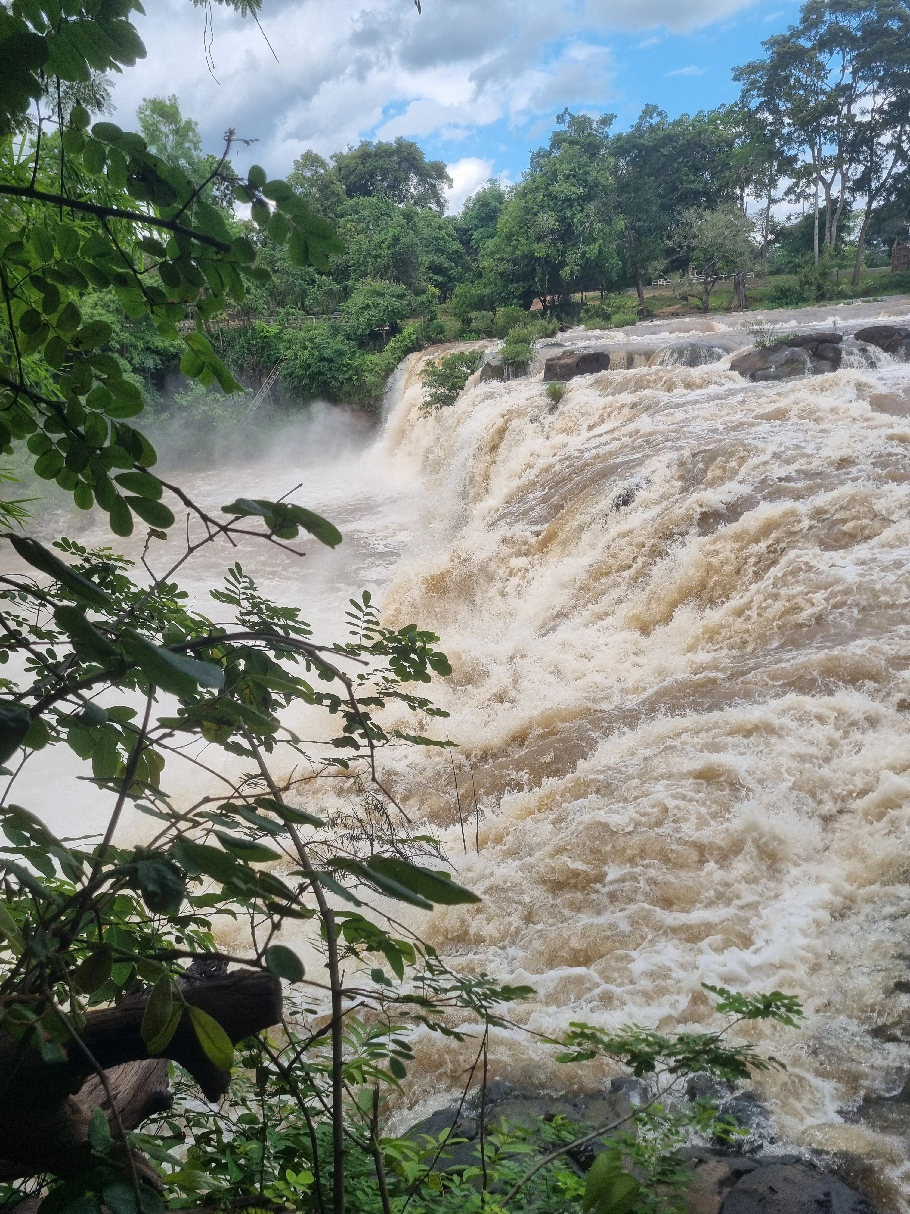 Powerful cascade at Tad Lo Waterfall framed by riverbank foliage