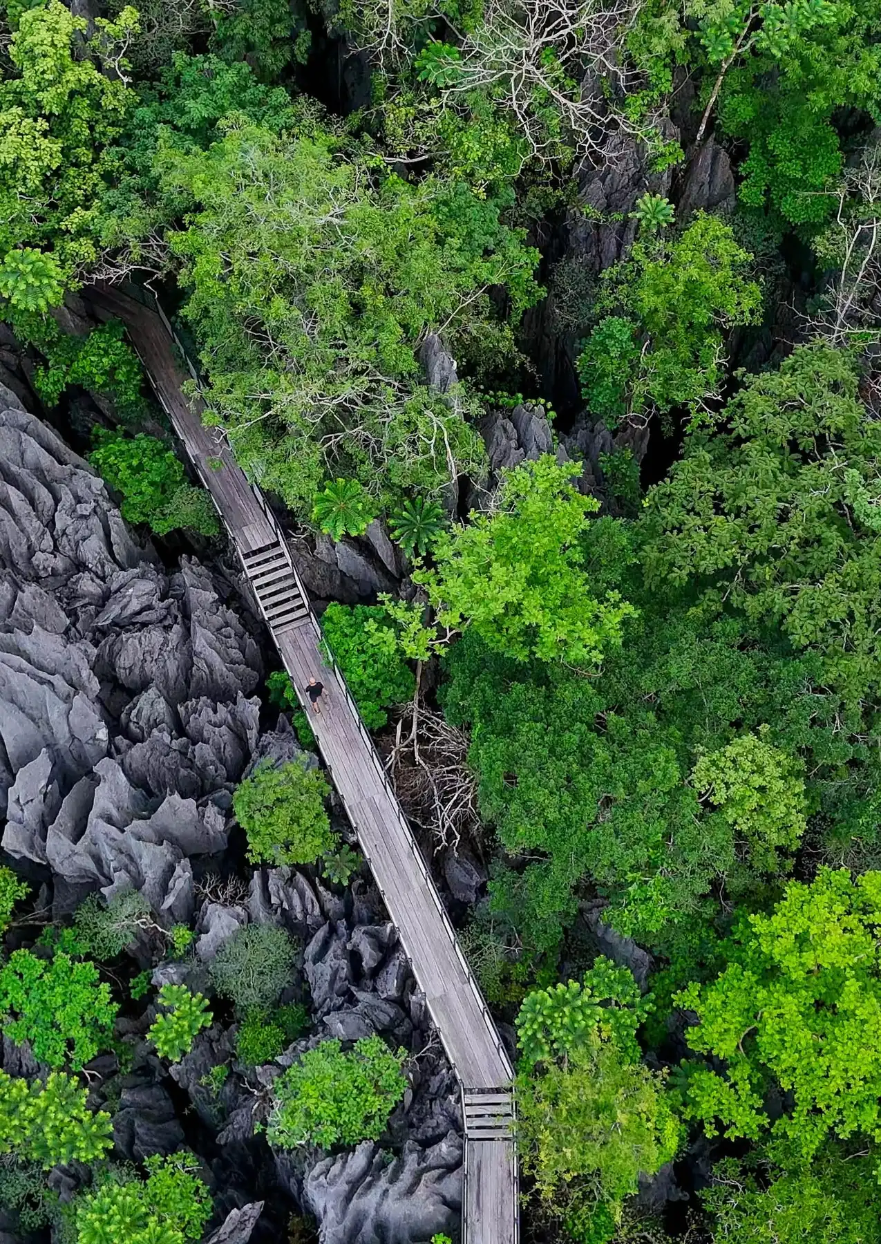 Wooden bridge through karst forest at The Rock ViewPoint, Khammouane