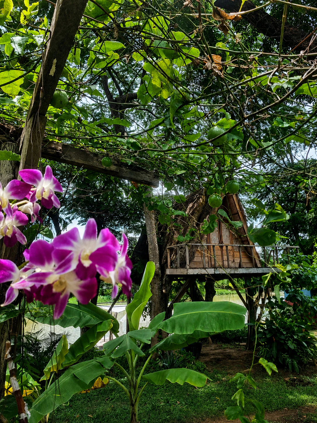Fandee Island in Tad Lo, Laos