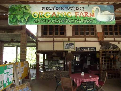 Vang Vieng Organic Farm Cafe in Vang Vieng, Laos